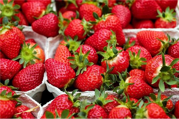 Grote Aardbeien  - volle grond Producten in de kijker Webshop